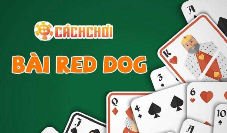 Cách chơi Red Dog trên Kubet chỉ vài thao tác đơn giản
