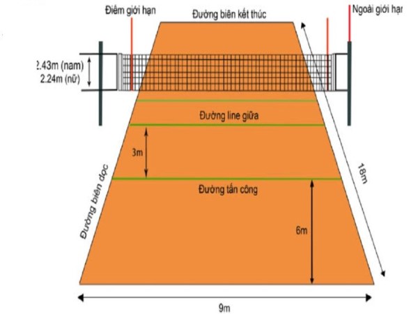 Chiều cao lưới tennis chuẩn quốc tế không chỉ là con số